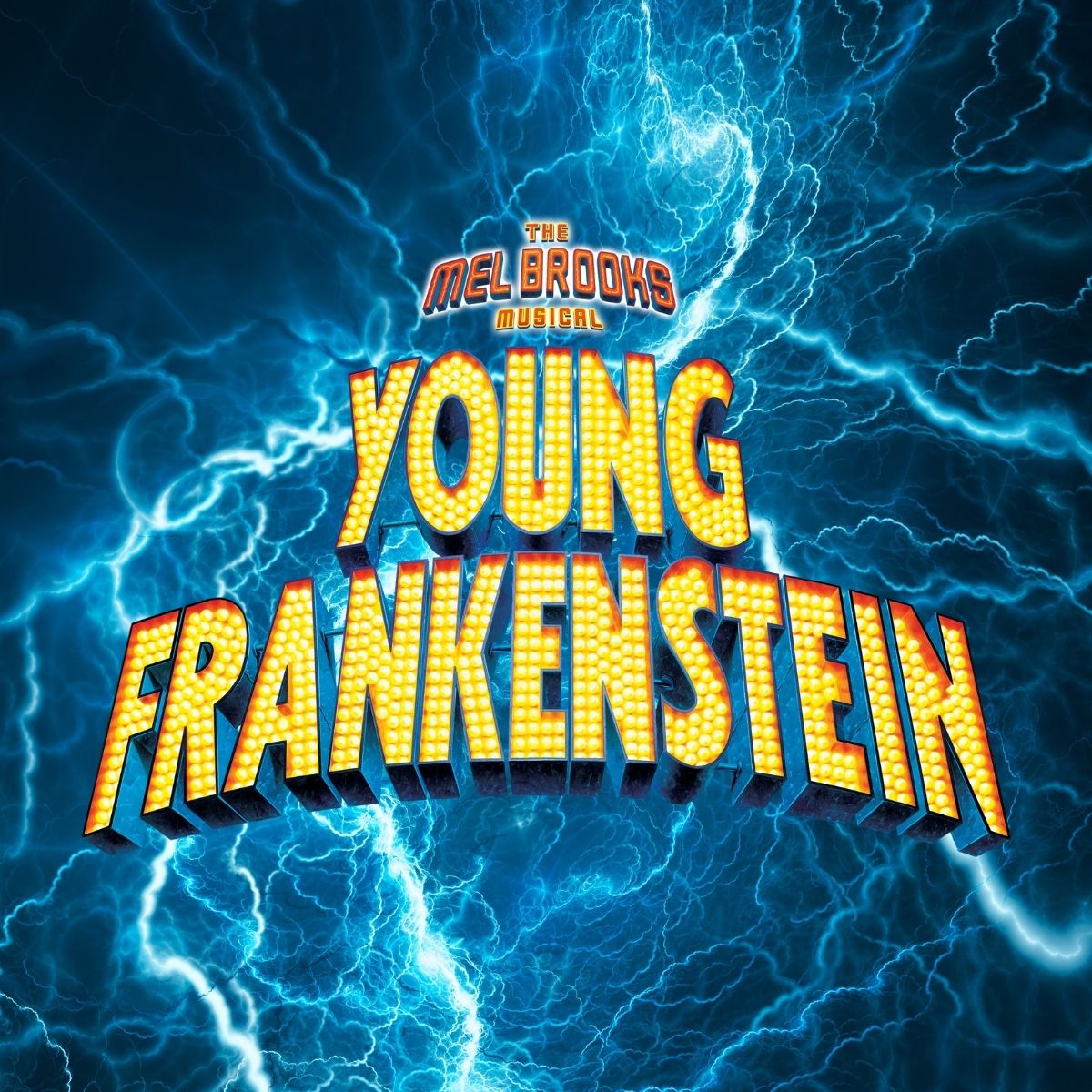 https://www.clearspacetheatre.org/wp-content/uploads/2022/11/Young-Frankenstein-logo.jpg